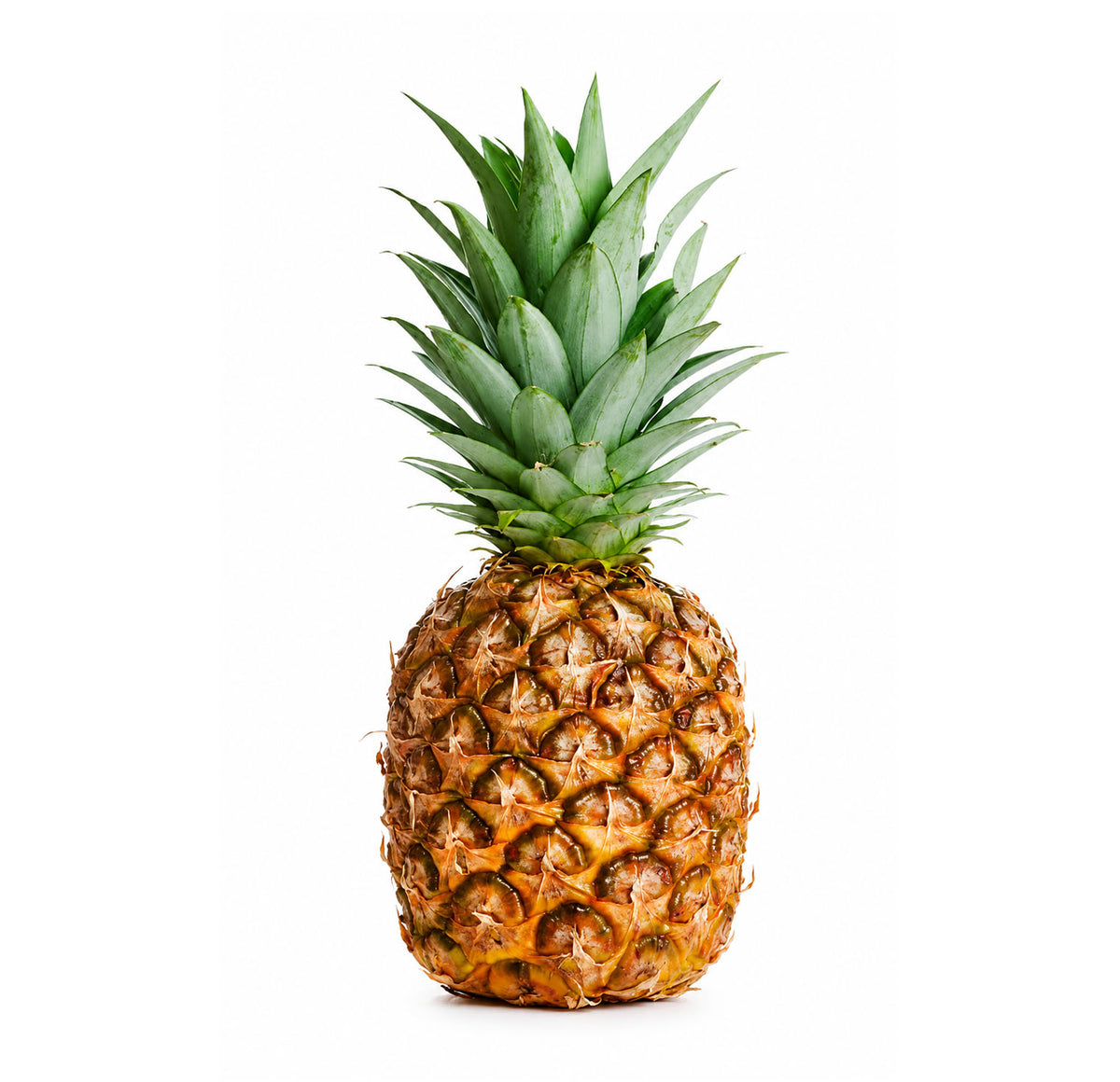 Fresh Pineapple