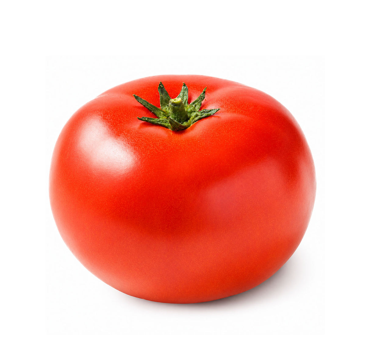 Fresh Tomato