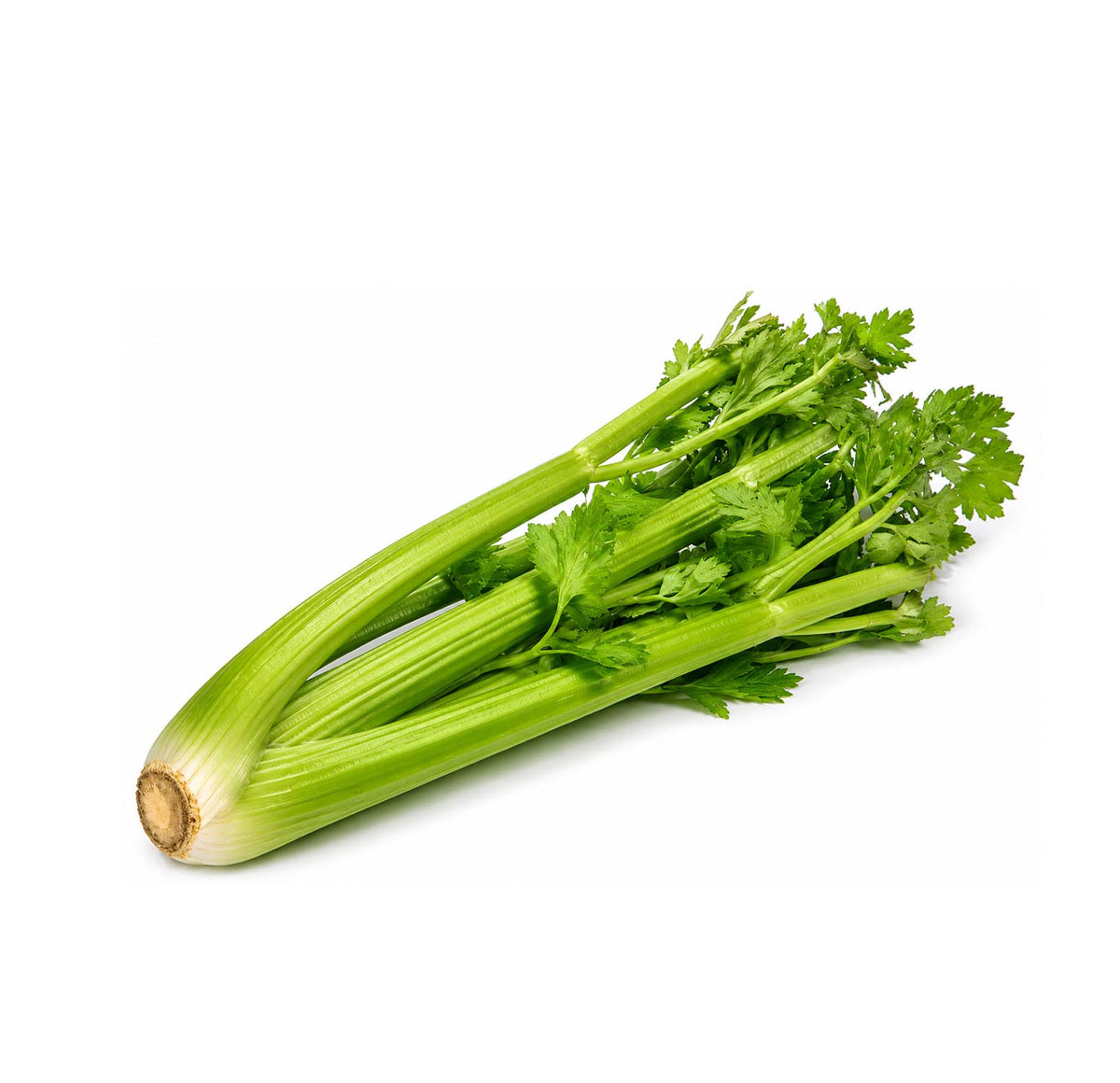 Fresh celery bunch with crisp green ribs and leaves