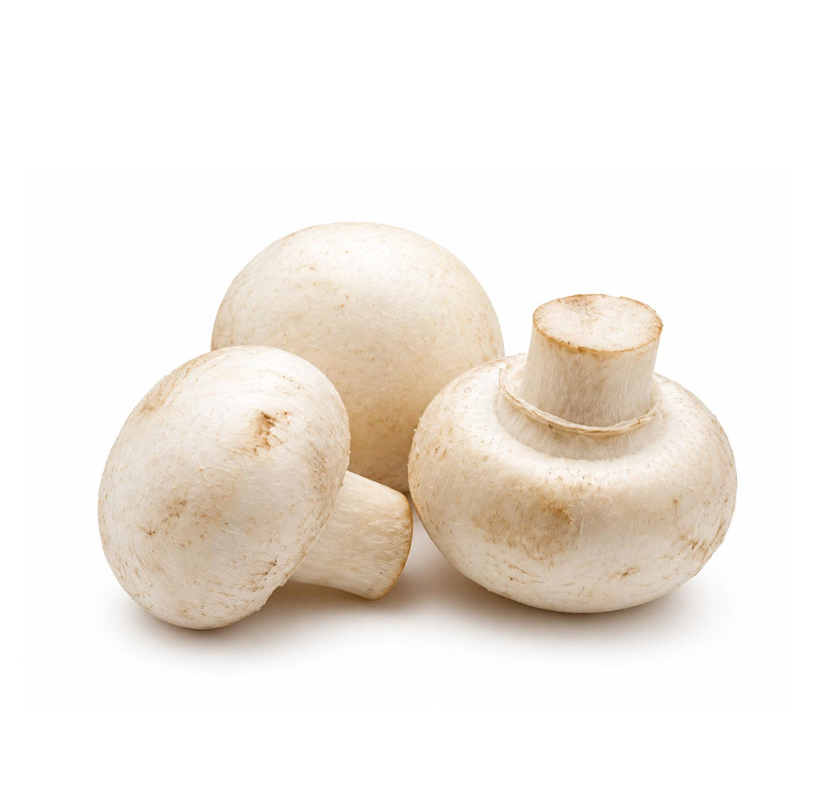 Fresh white button mushrooms, three whole caps