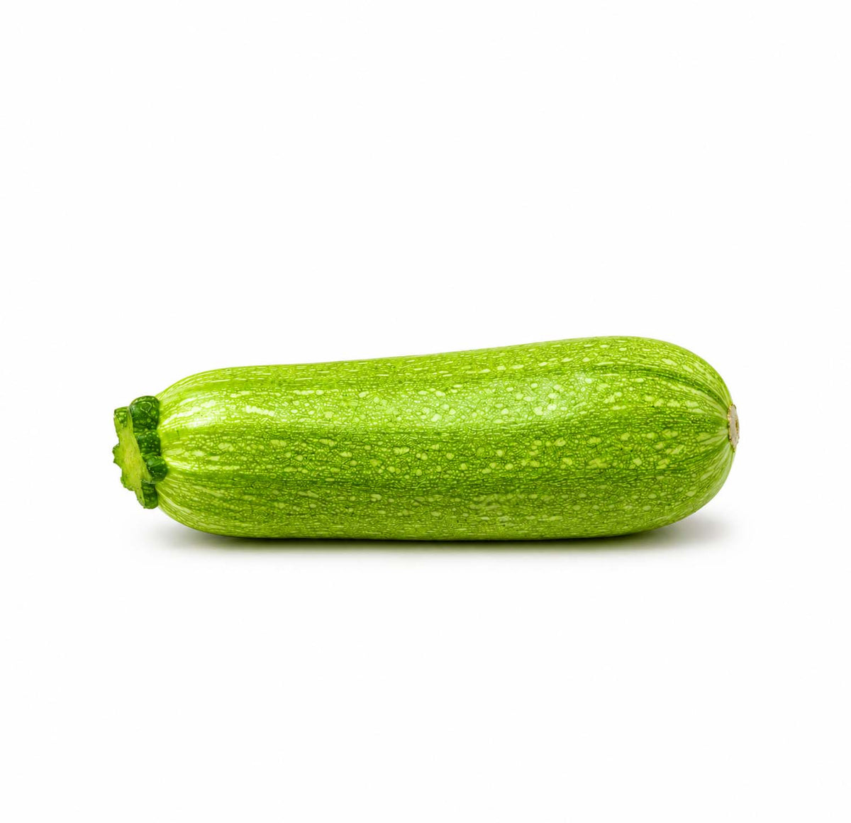 Fresh pale green zucchini (kousa) squash, whole