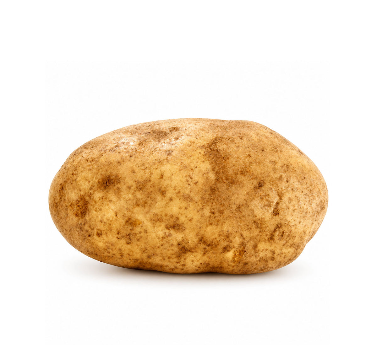 Fresh Russet Potato