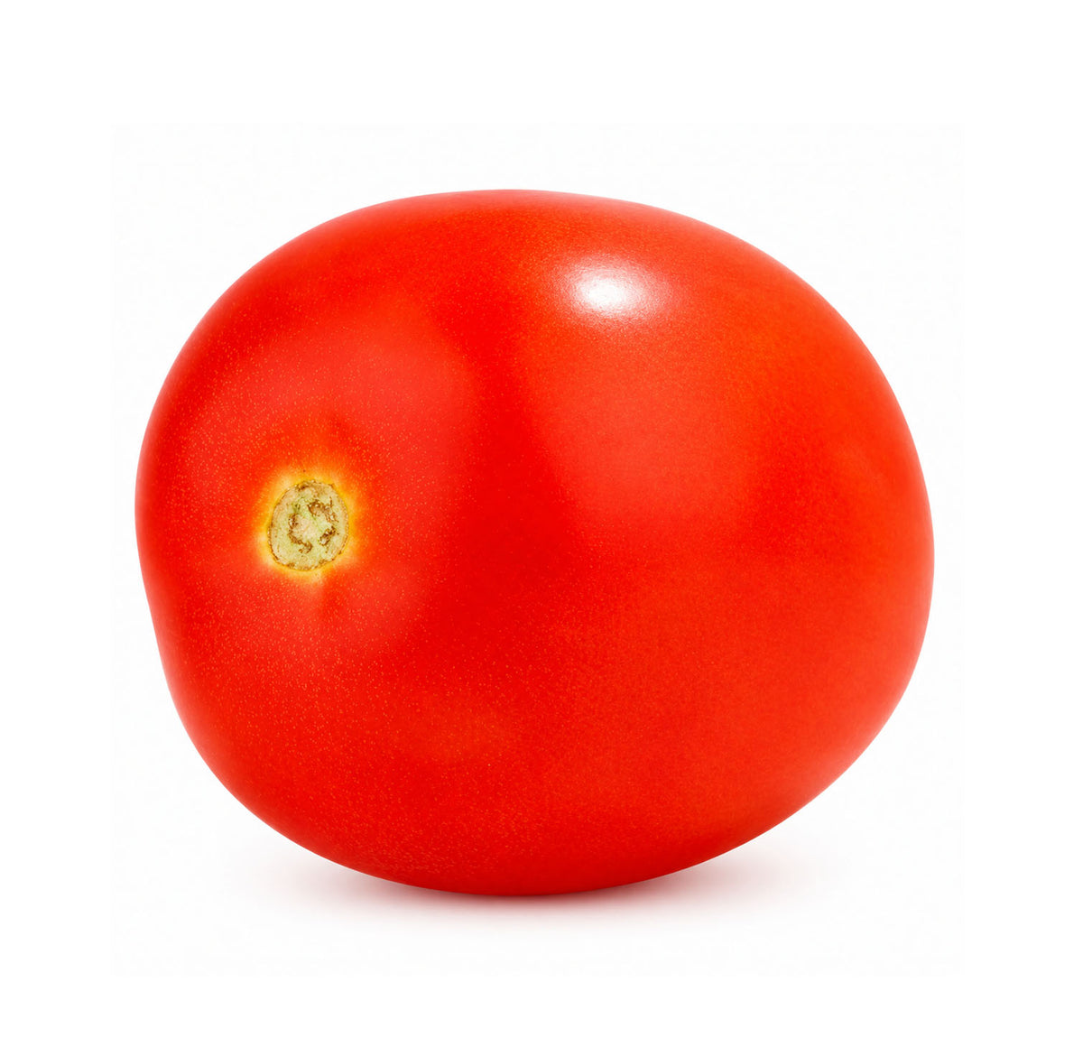 Fresh Roma Tomato