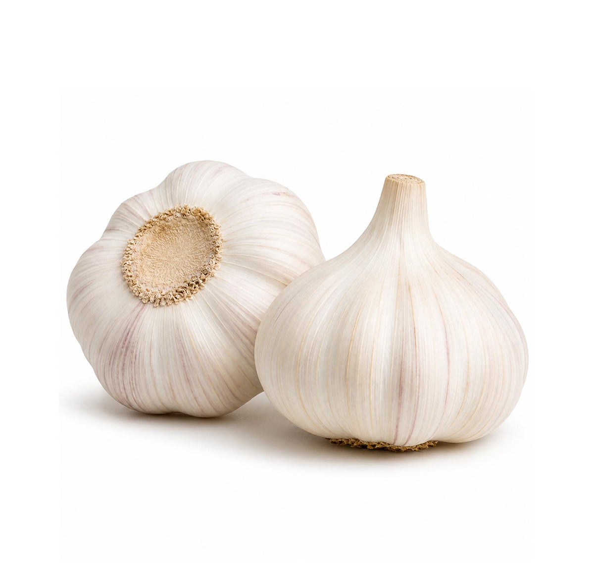 Fresh garlic, two whole heads with papery white skin