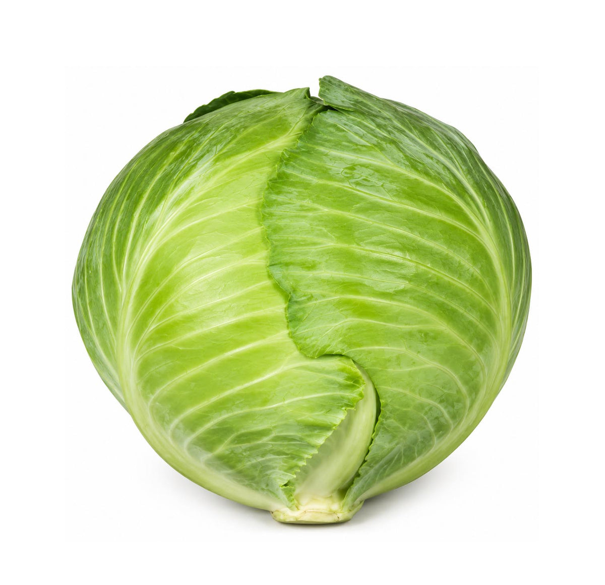 Fresh green cabbage, whole head with layered leaves