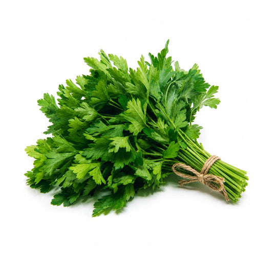 Fresh flat-leaf parsley bunch tied with twine