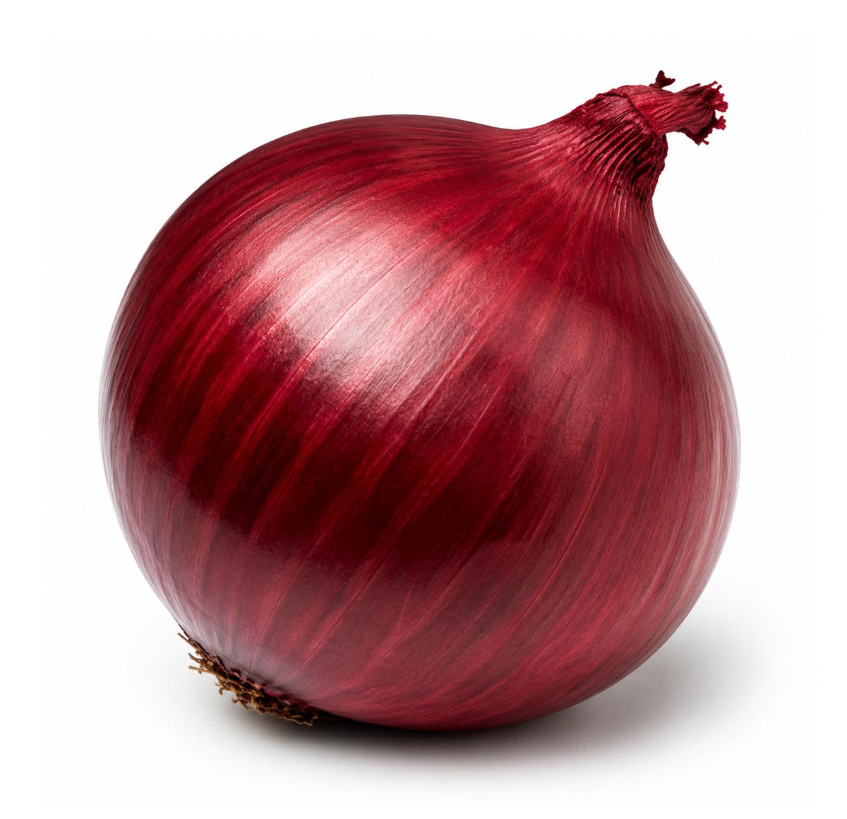 Fresh red onion, whole with deep purple-red skin