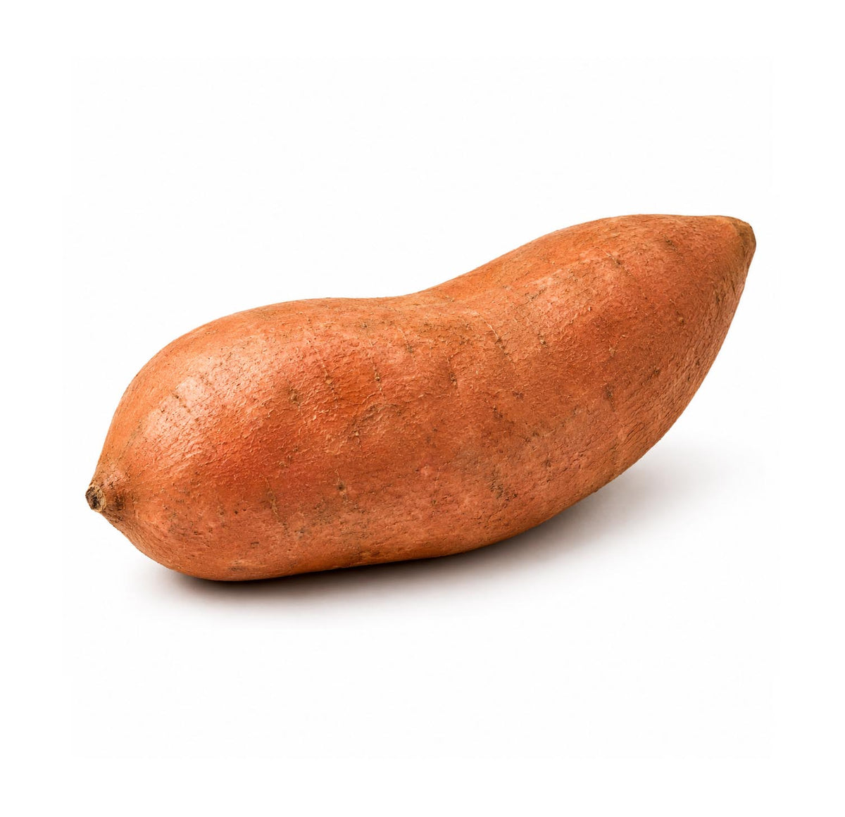 Fresh red sweet potato, whole with coppery skin