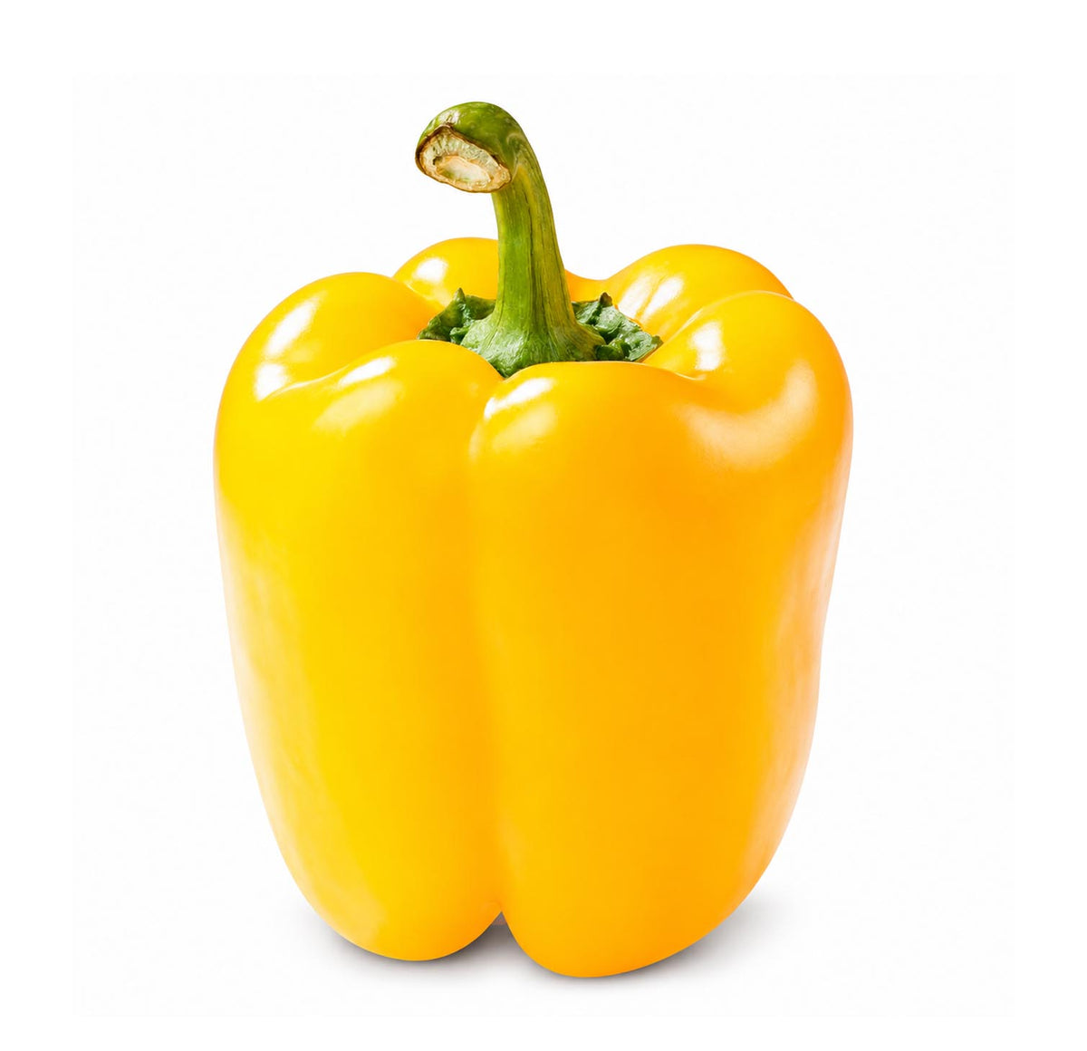 Fresh yellow bell pepper, whole with green stem