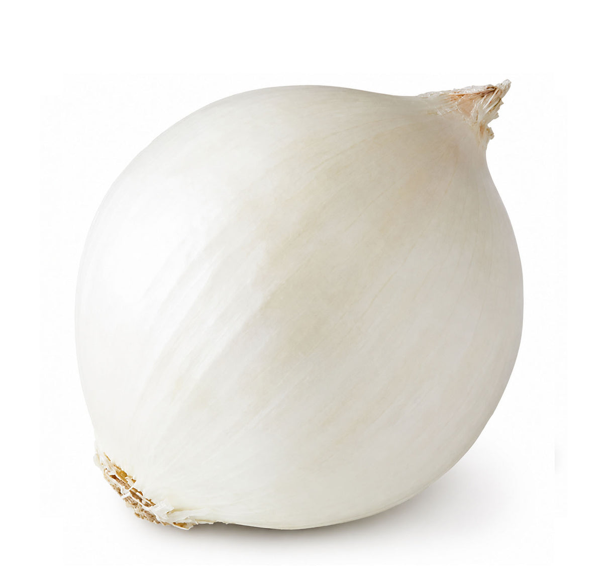 Fresh White Onion